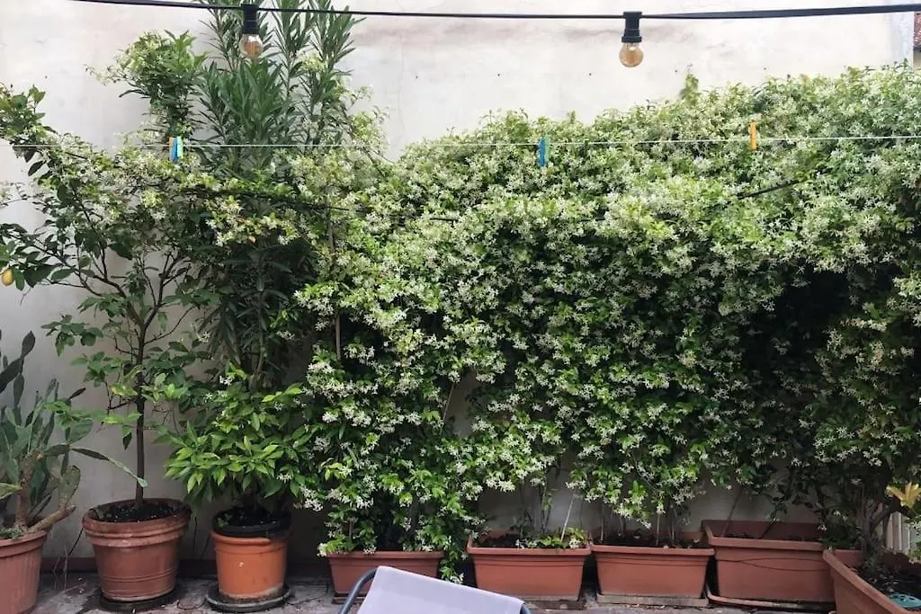 Apartment Sempione Yellow Milan Italy